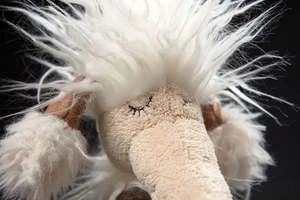 SigikidKids Sigikid Day Dreamer - Image 4