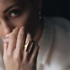 SylvesterDivided Crest Ring